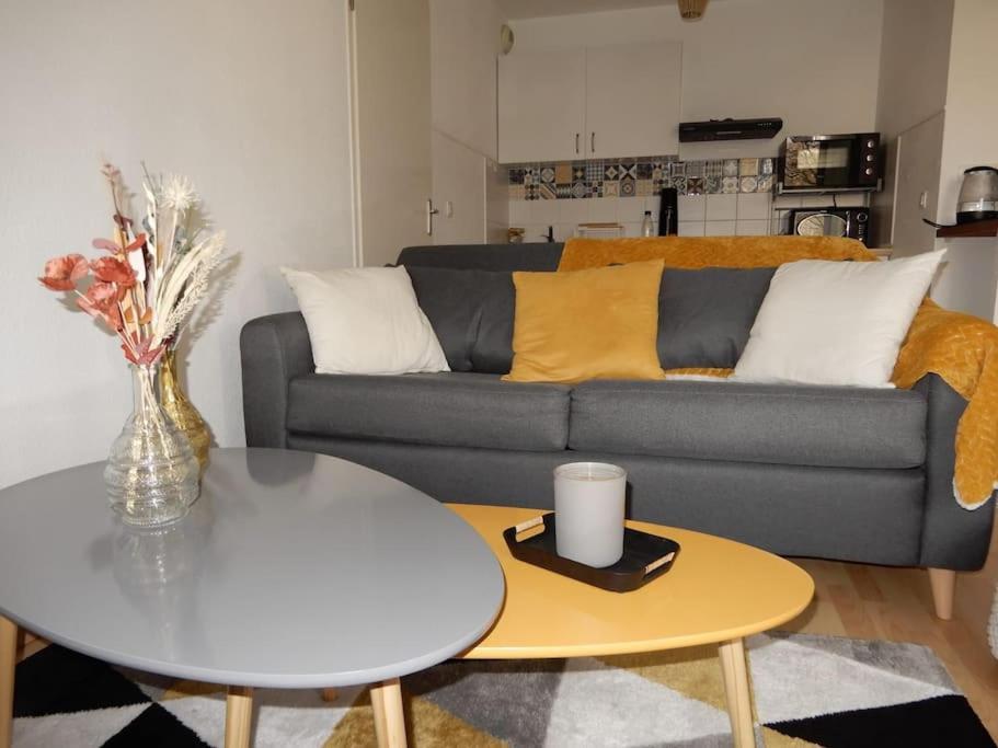 Bienvenue Au Cocon D'Alyssa Apartment Langon  Luaran gambar